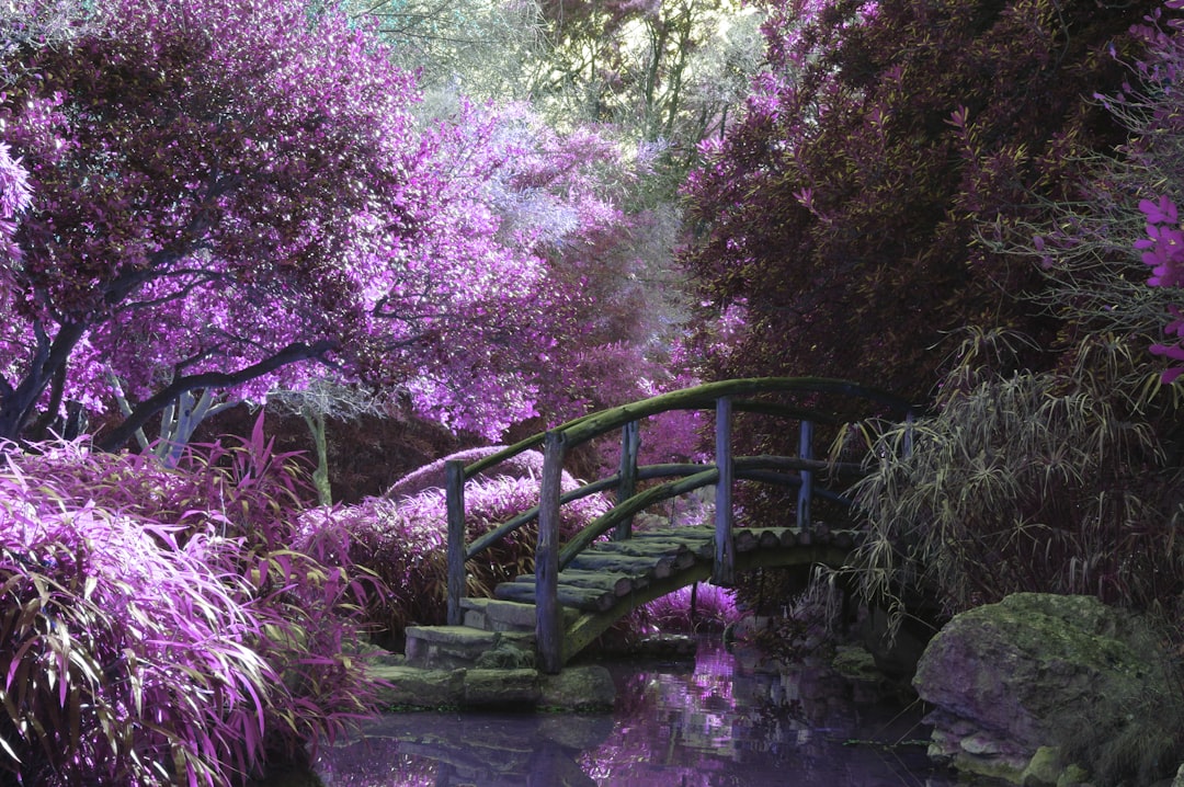 Tarot for Gardeners: Cards to Grow Your Green Thumb