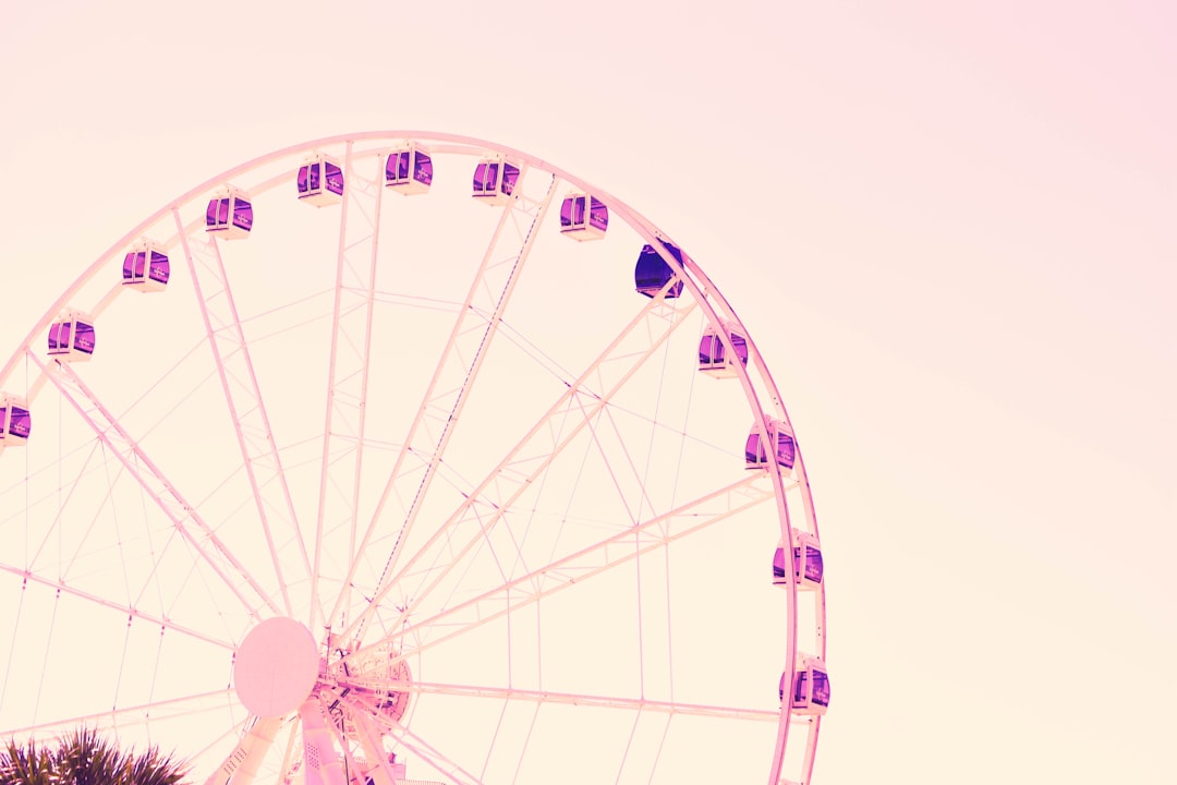 The Wheel of Fortune: Riding Life’s Ups and Downs